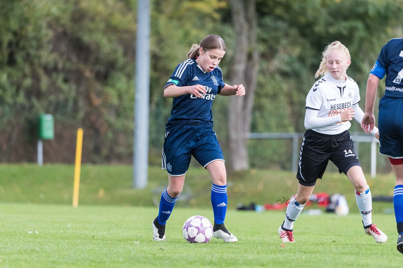 Bild 249 - B-Juniorinnen SV Henstedt Ulzburg - Hamburger SV : Ergebnis: 2:3